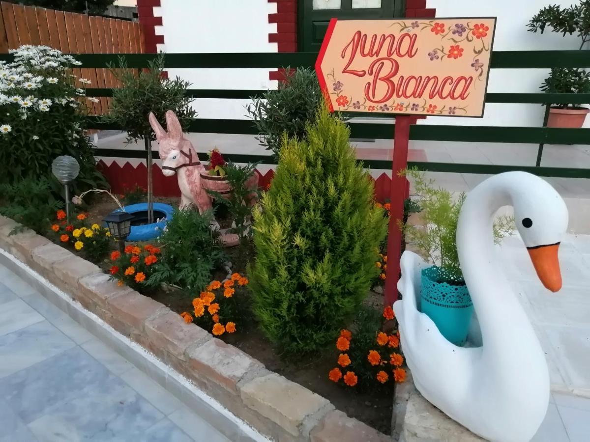 Deluxe Διαμέρισμα