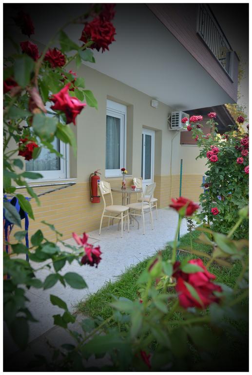 Studio (3 Adults),113638121:JPEG