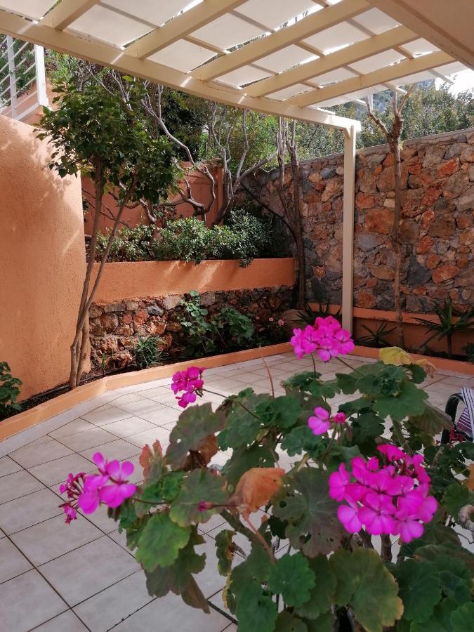 Studio Garden View