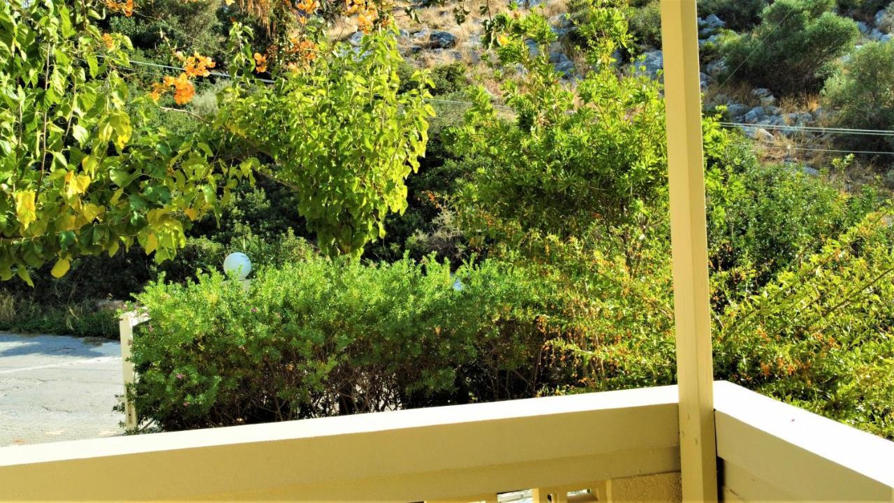 1-Bedroom Suite Sea View