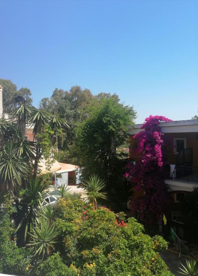 Double or Twin Room View
