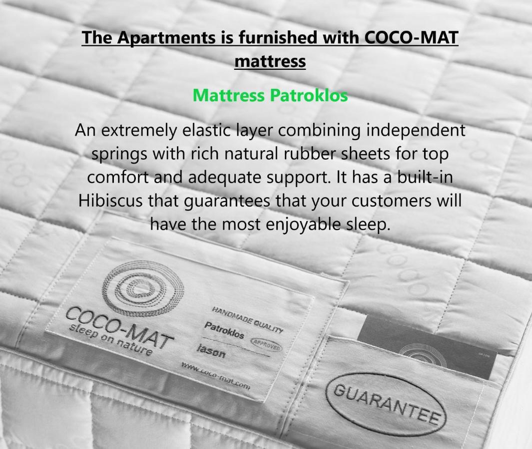 Comfort Apartment – 1. Etage