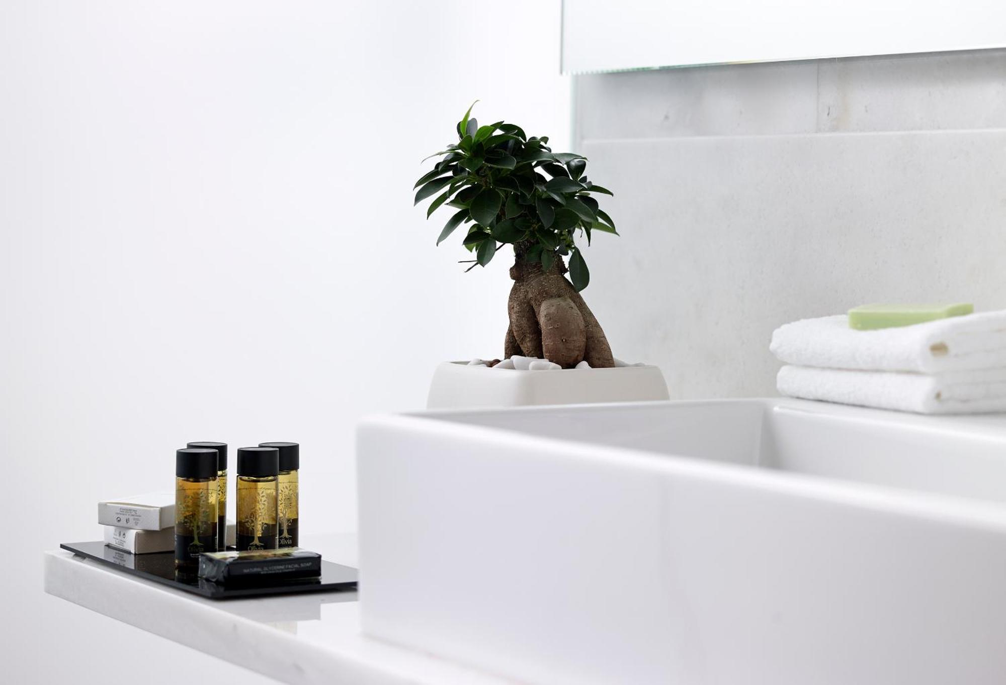 Premium Double or Twin Room,1436623216:JPEG