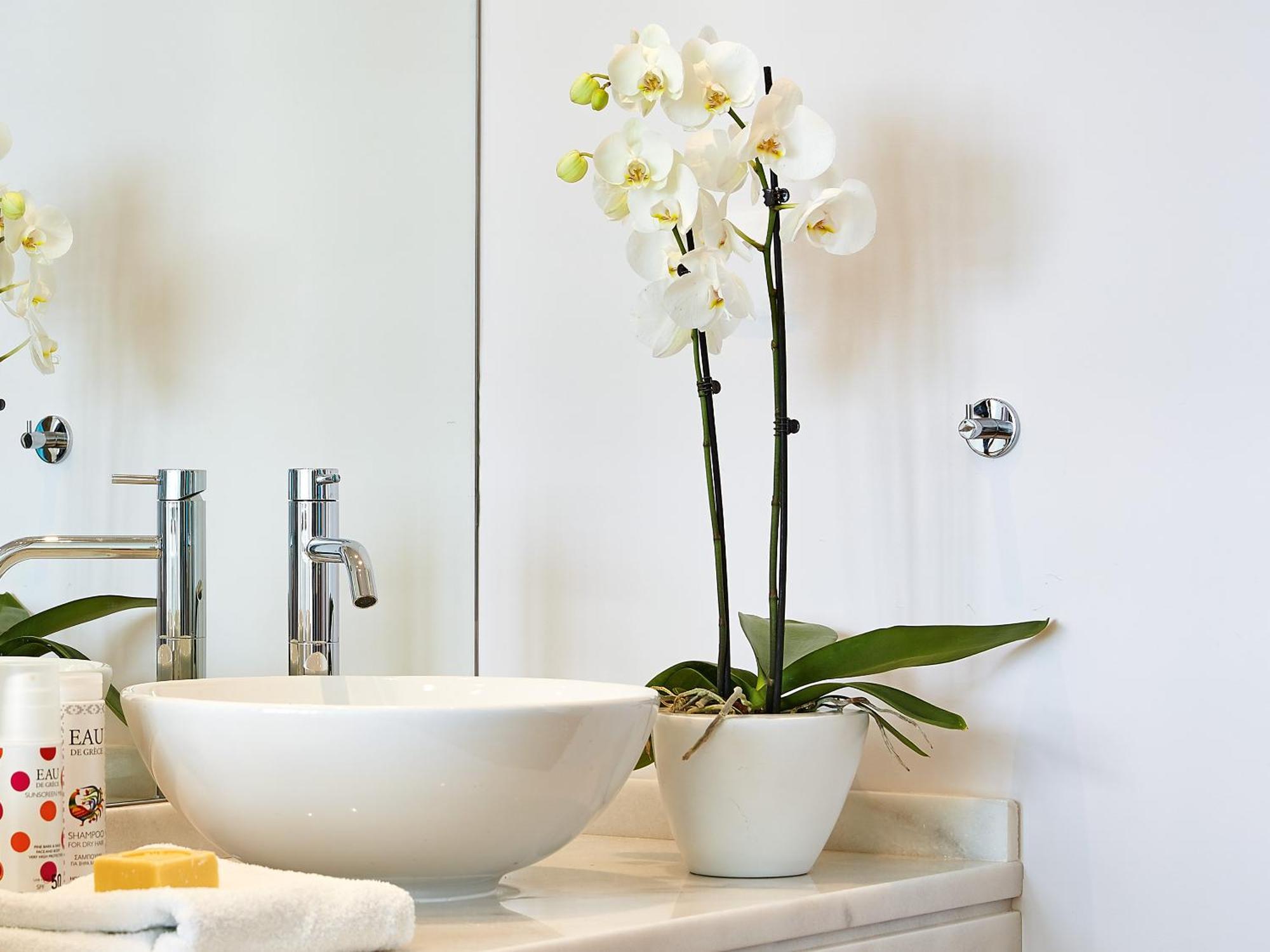 Familiensuite mit seitlichem Meerblick