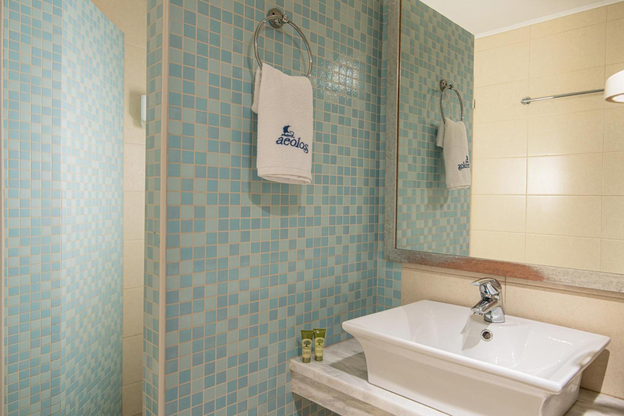 Standard Twin or Double Room