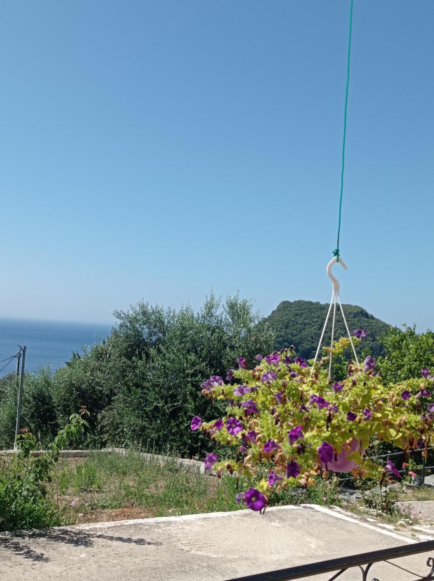 Triple Room with View