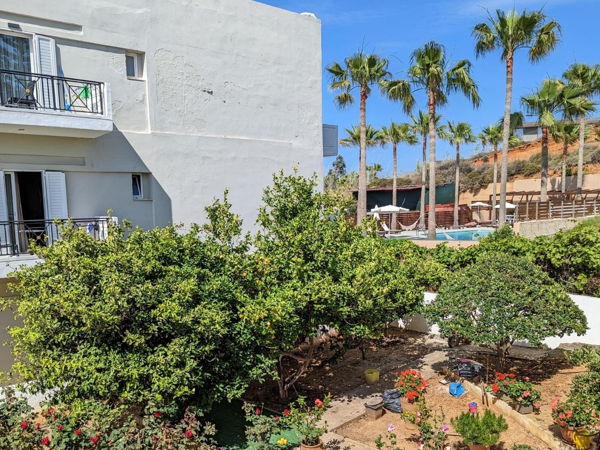 Studio Garden View