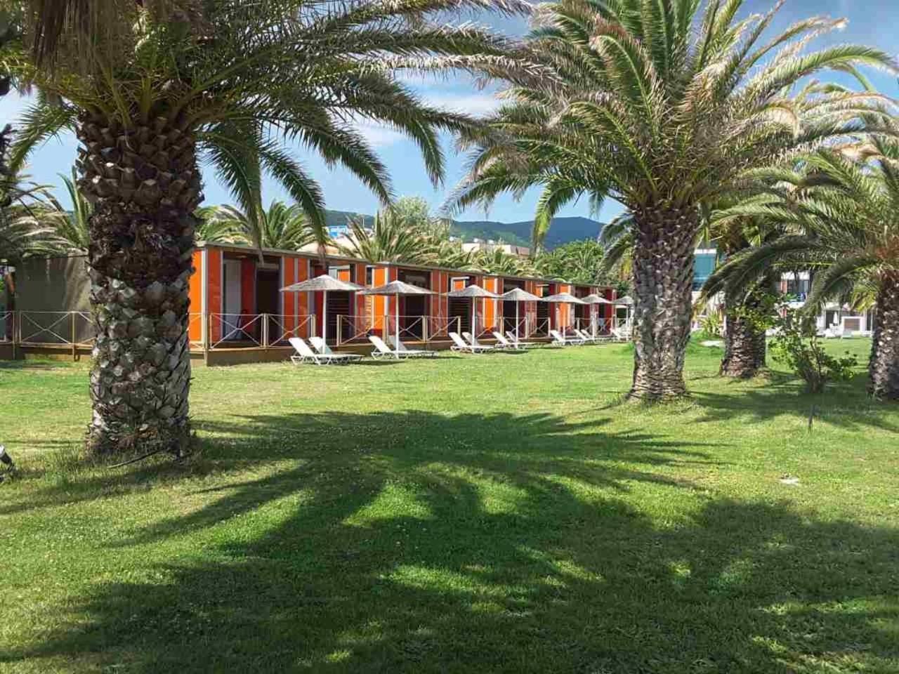 Apartament cu vedere la grădină