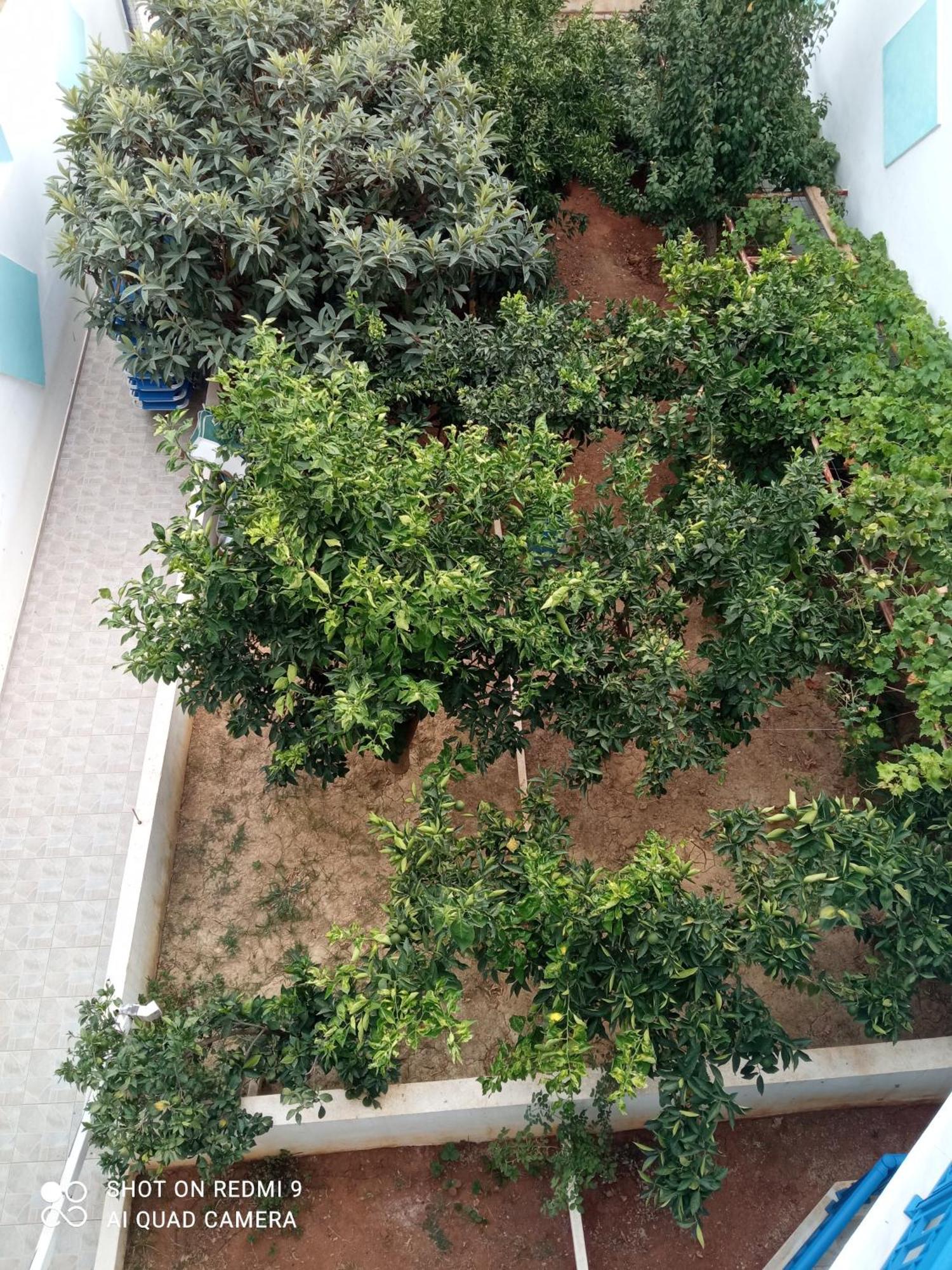 Triple Room Garden View