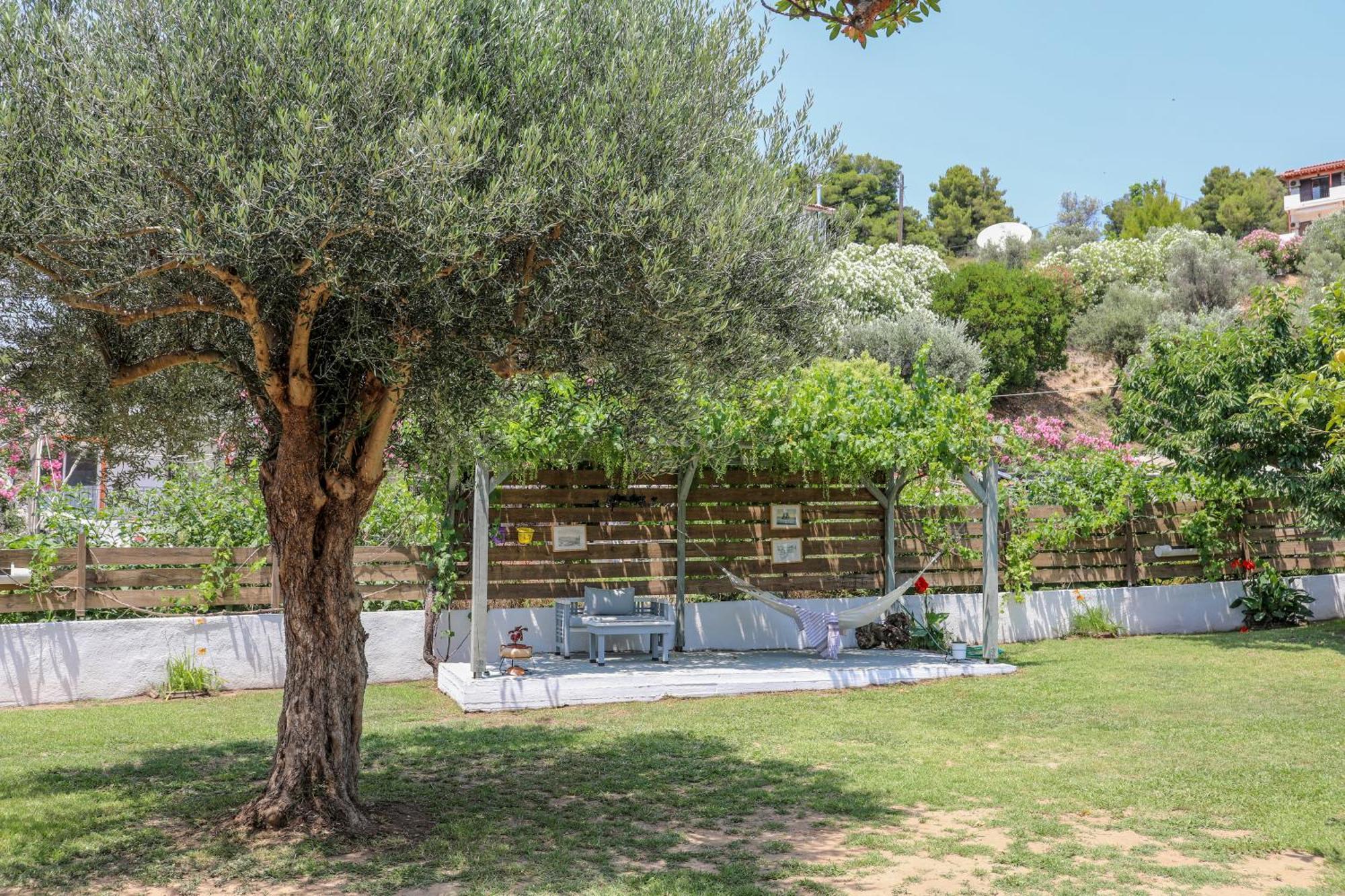 Studio Garden View