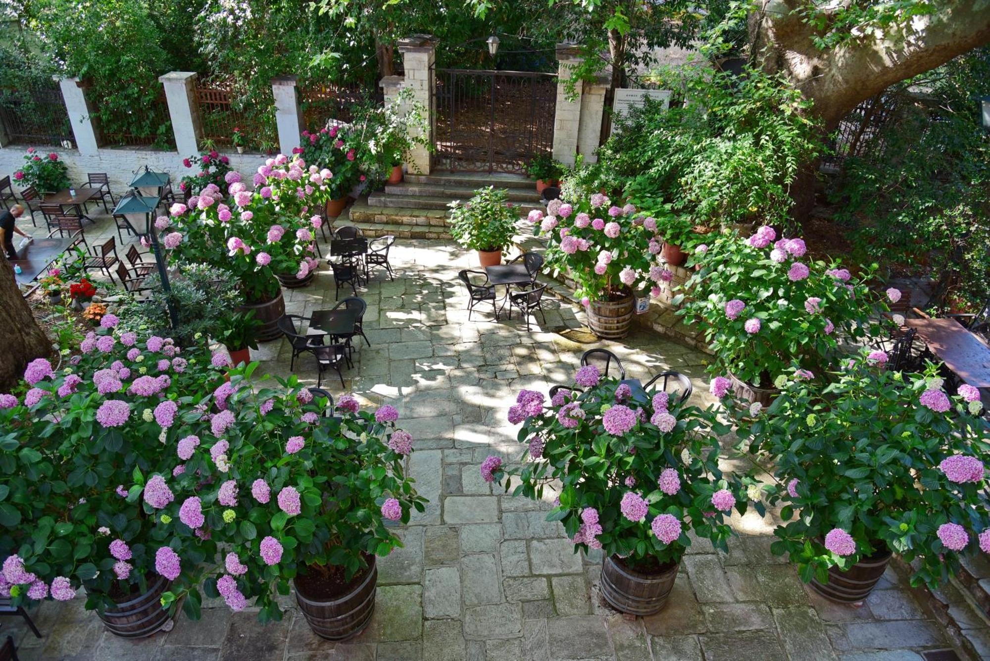 Οικογενειακό Δωμάτιο (3 Ενήλικες)