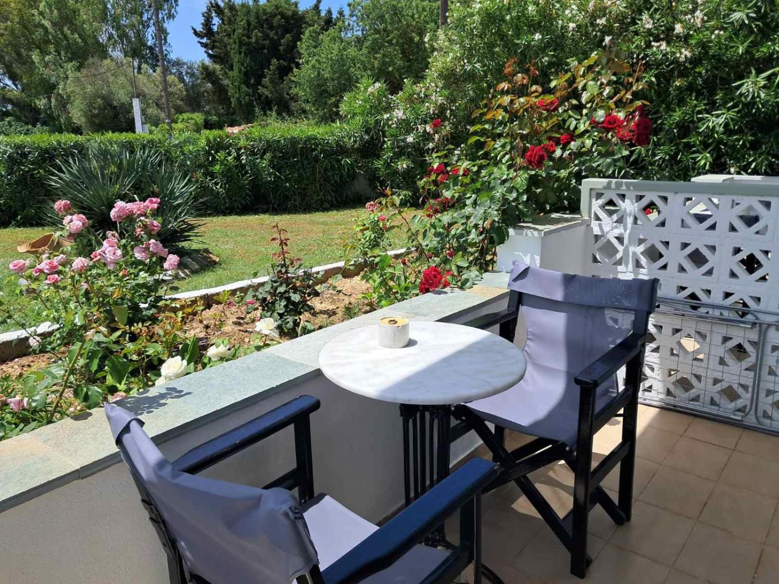 Studio Garden View