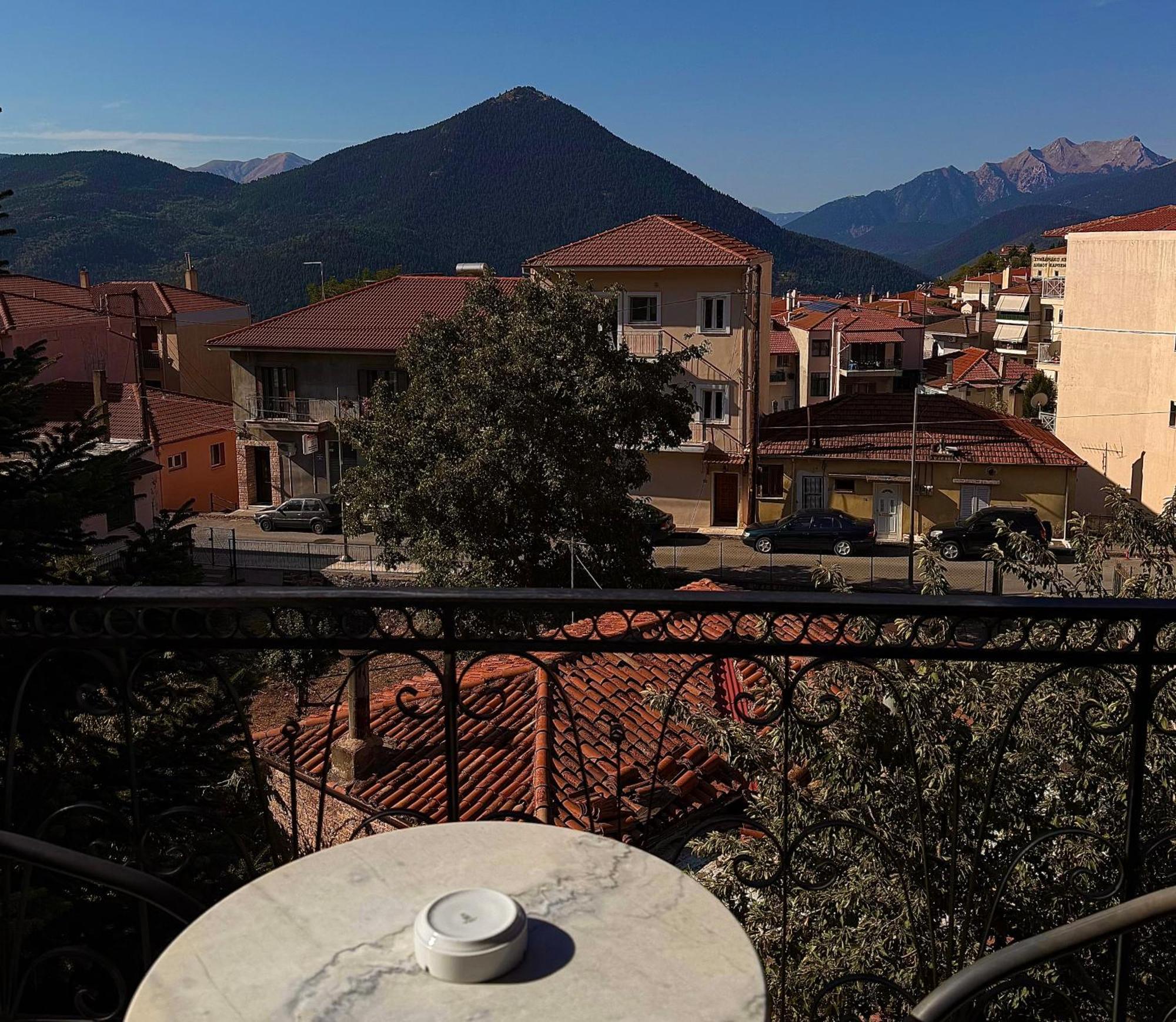 Standard Studio garden view