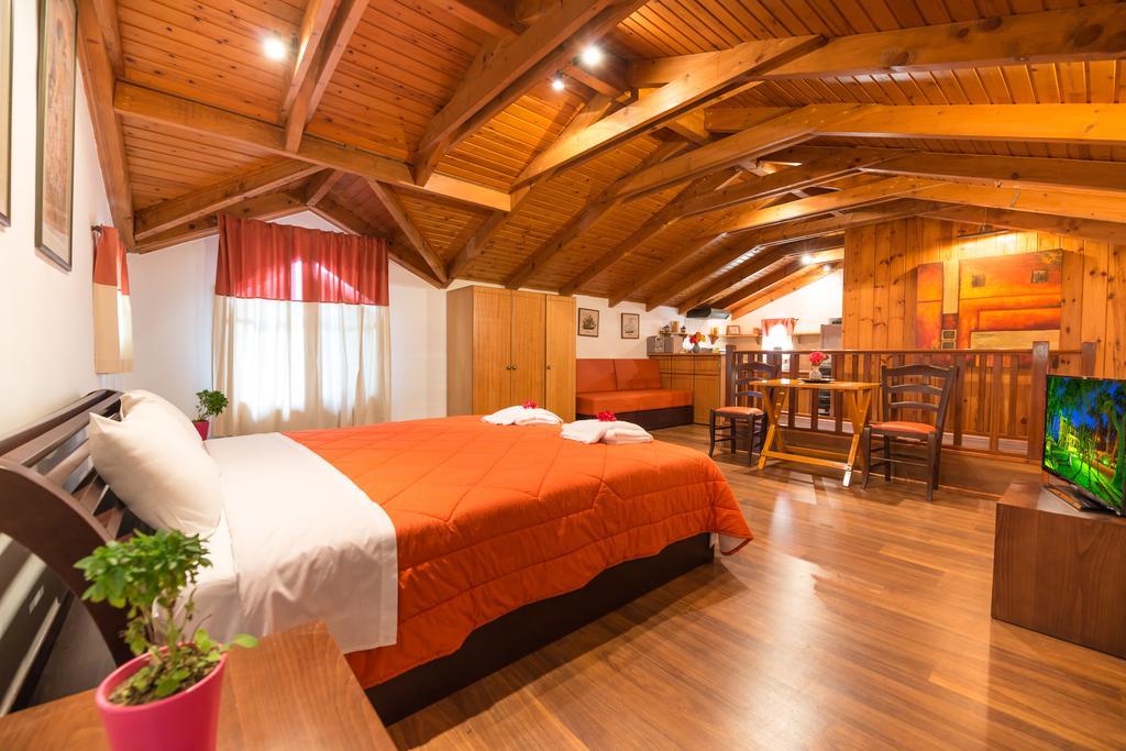 Apartment Attic