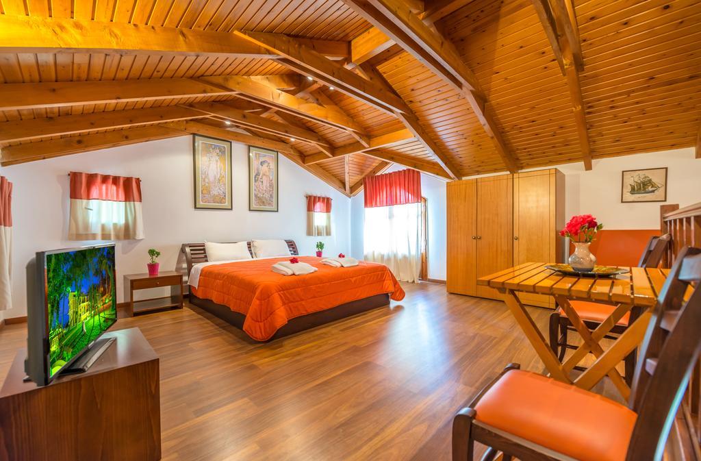 Apartment Attic