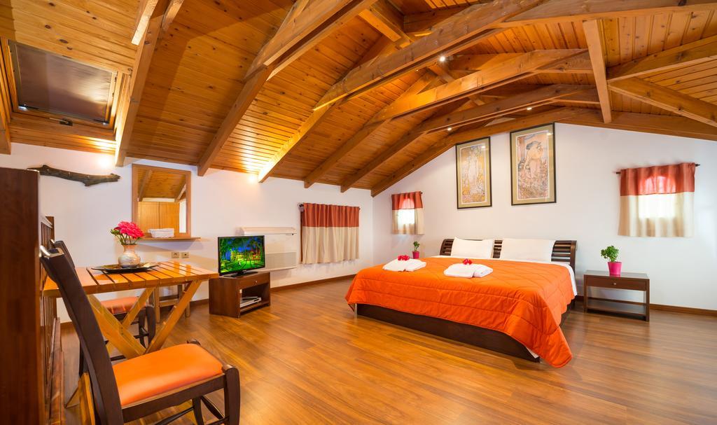 Apartment Attic