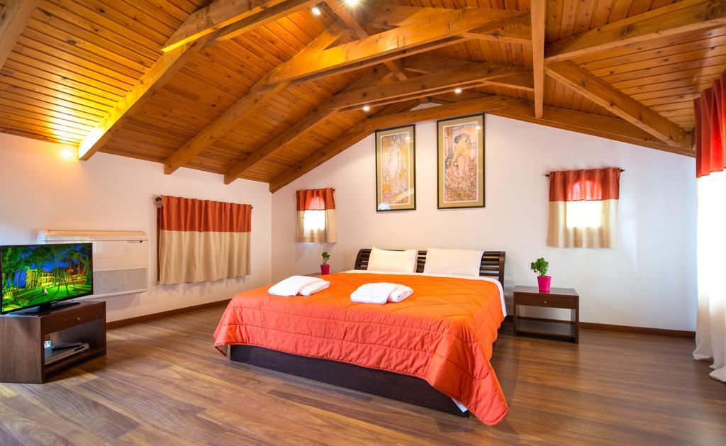 Apartment Attic