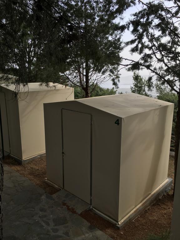 Bed in Dormitory Tent,215816423:JPEG