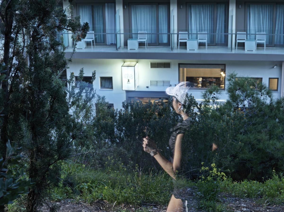 Double or Twin Room with Filopappou View,630276480:JPEG