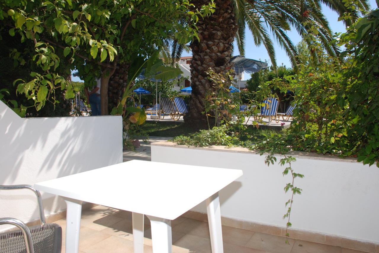 Studio Terrace