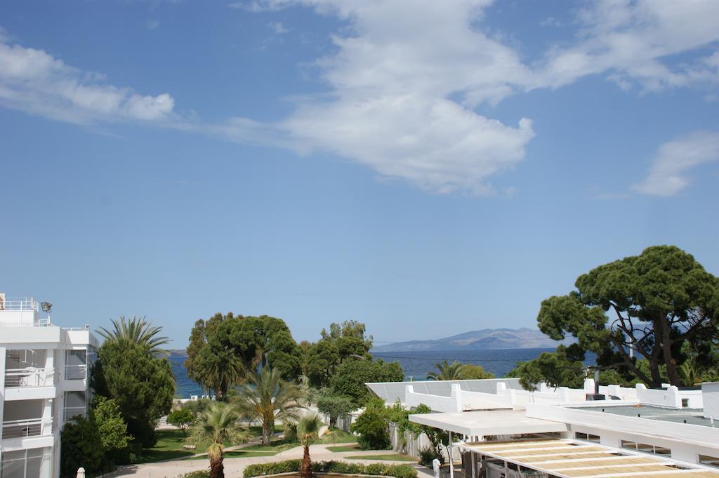 Σουίτα
