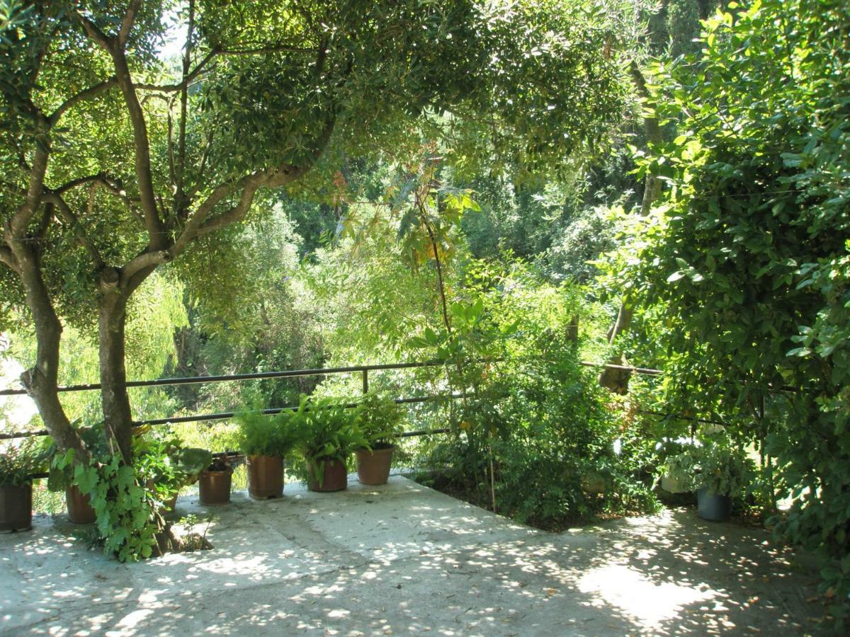 Apartment Terrace