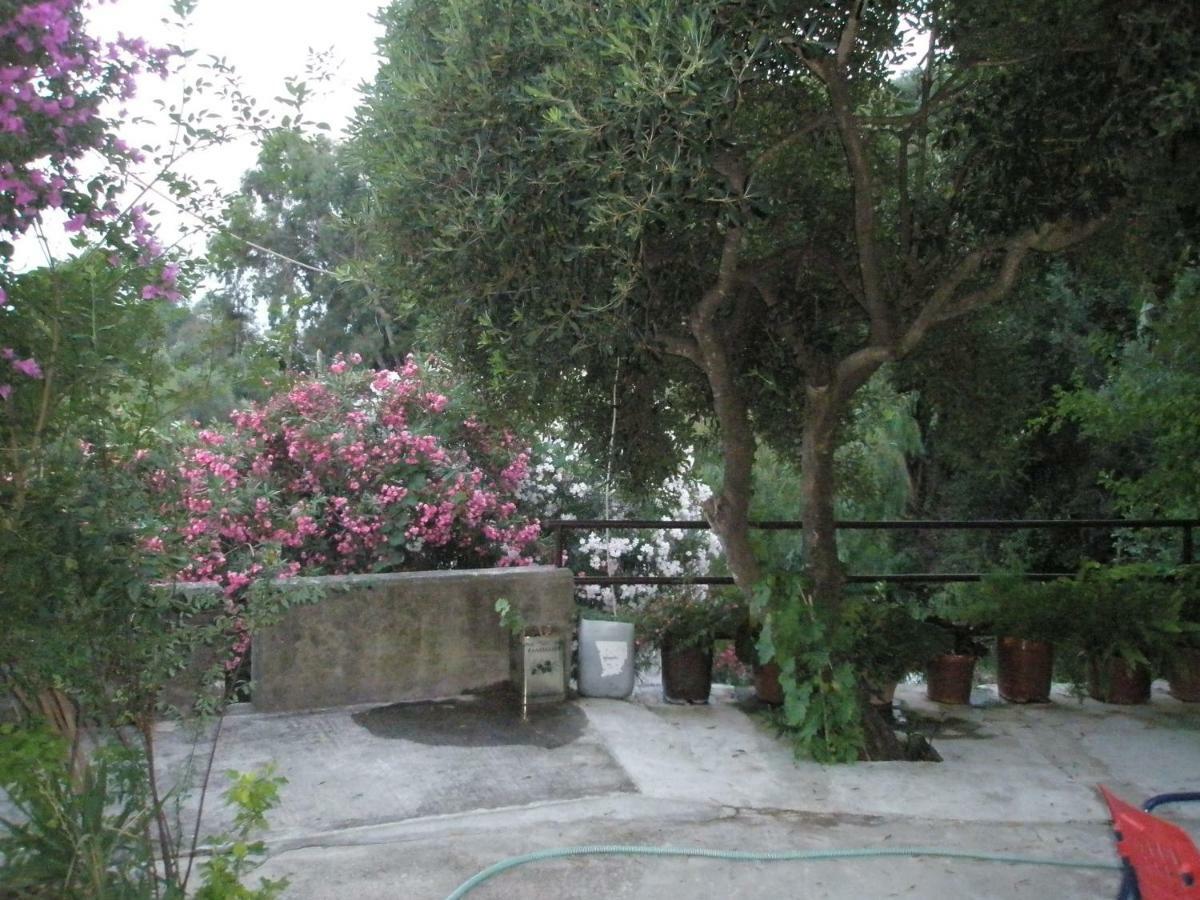 Apartment Terrace