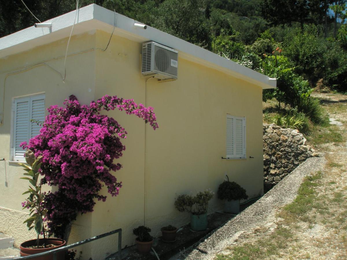 Apartment Terrace
