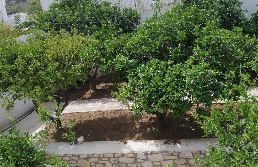 Aegeon Garden-1