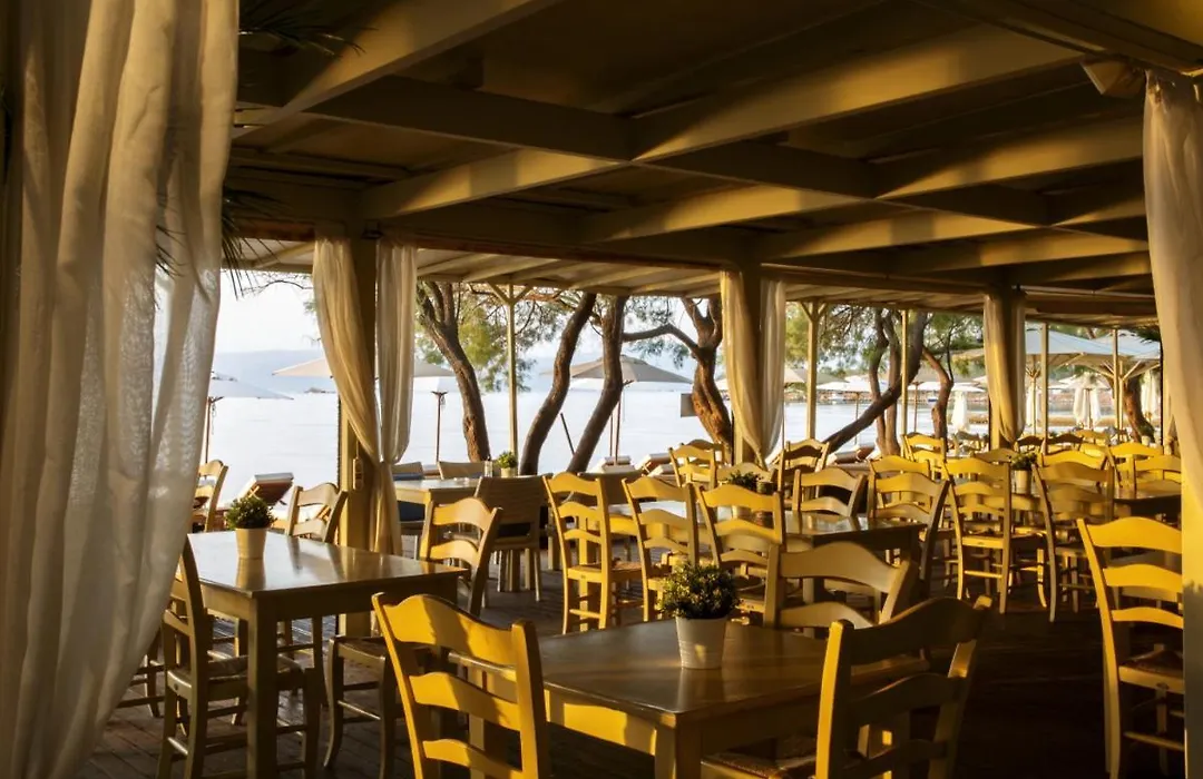 Eviana Beach-1