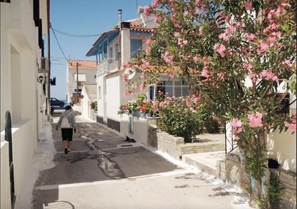 Studios Marin-1