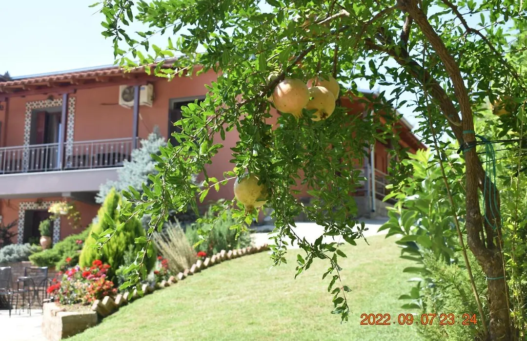 Hotel Meteora-1