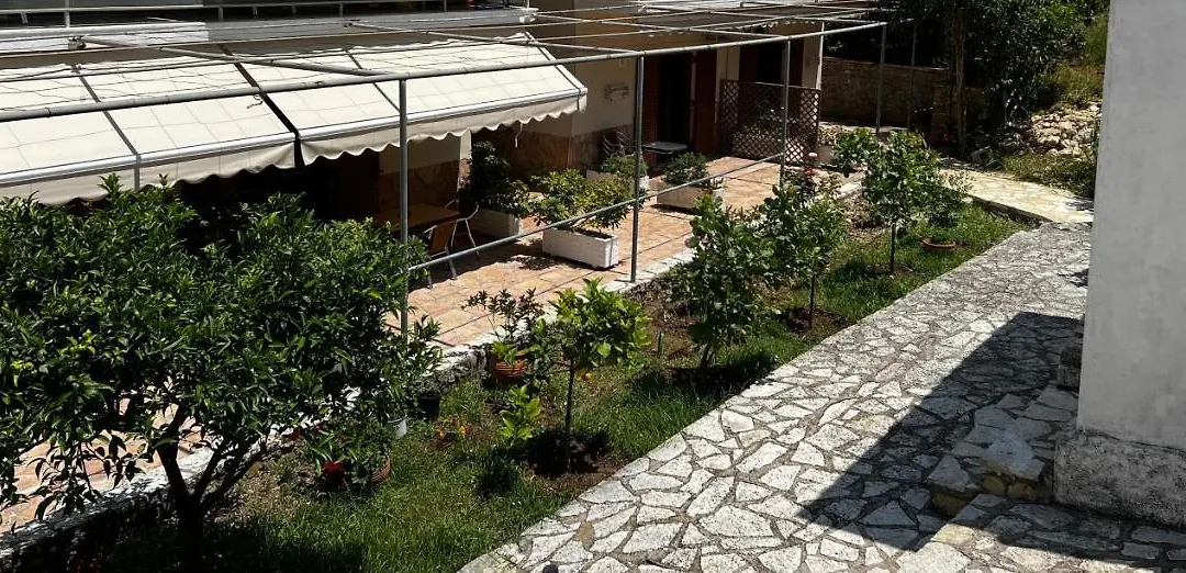 Dionysus Sivota Center-1