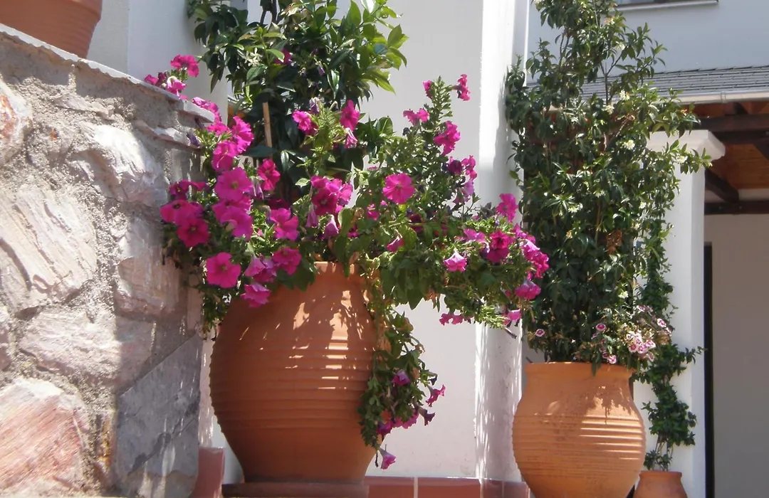 Hotel Pelion Resort-1