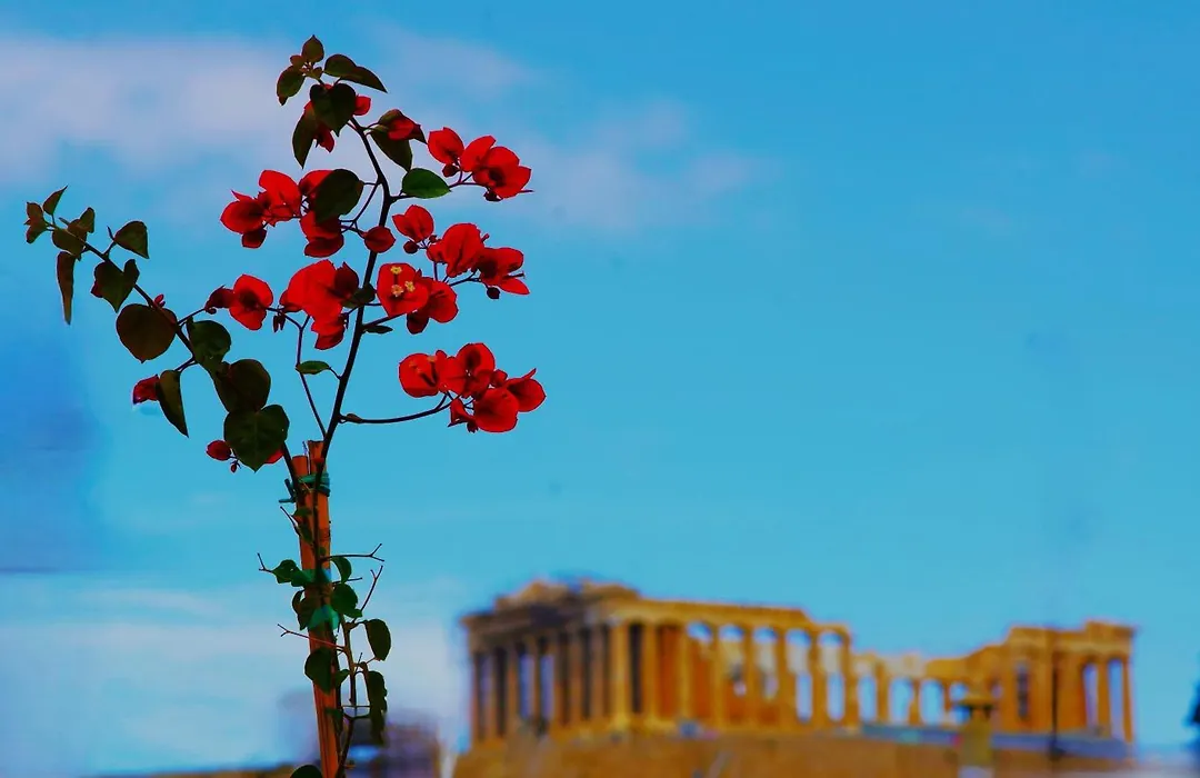 Absolute Athens Acropolis View-1