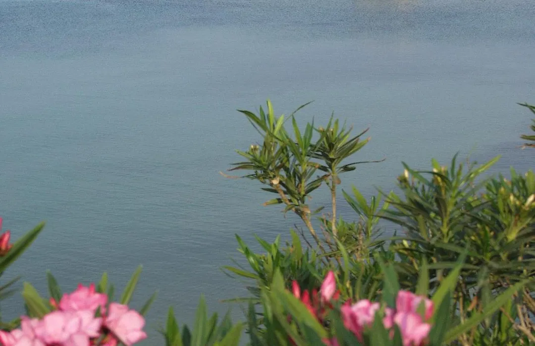 Seaview Aparthotel-1