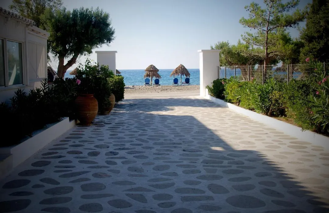 Avra Palm-1