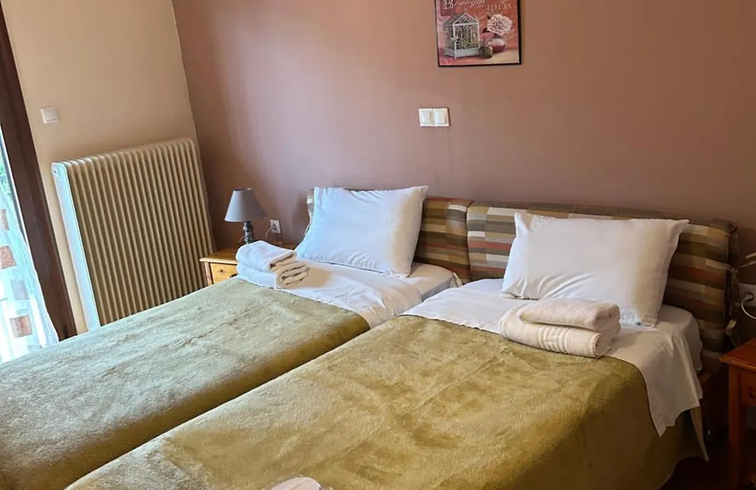 Hotel Aoos-1