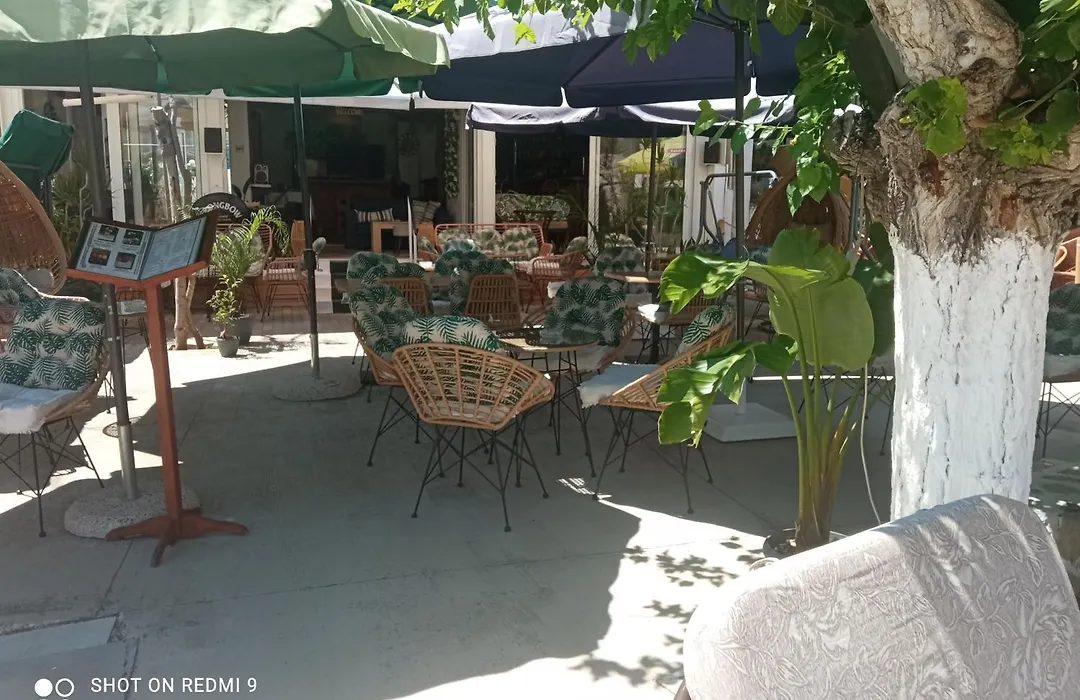 George Studios Stalis-1