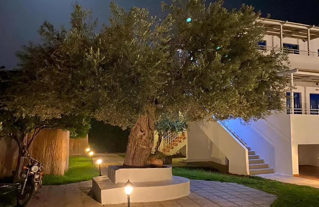 Lindos Athena-1