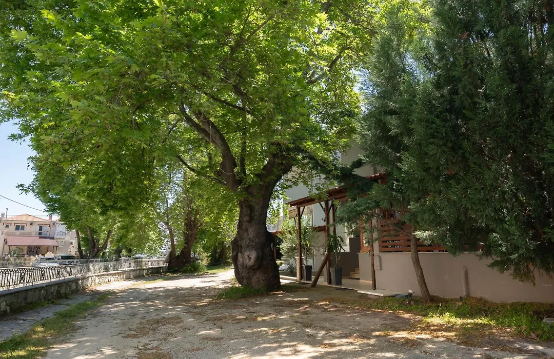 Kipos Resort-1