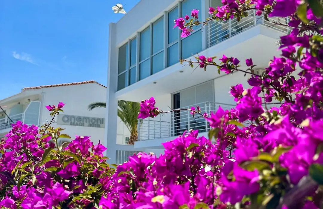 Anemoni Beach Hotel-1