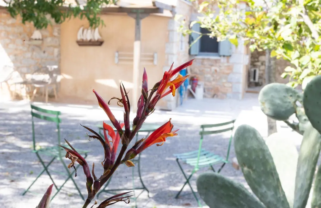 Sophia Areopoli Town Square-1