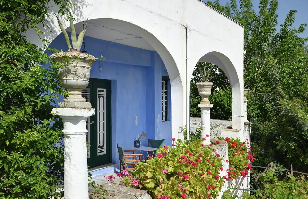 Orloff Resort-1