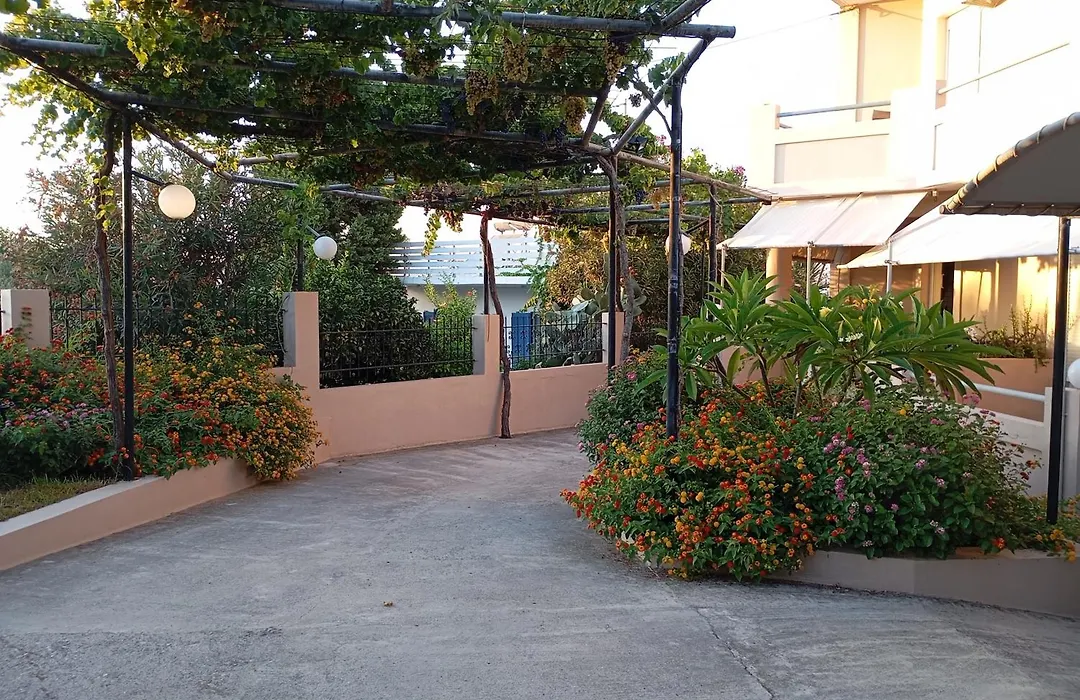 Olive Villa Crete-1