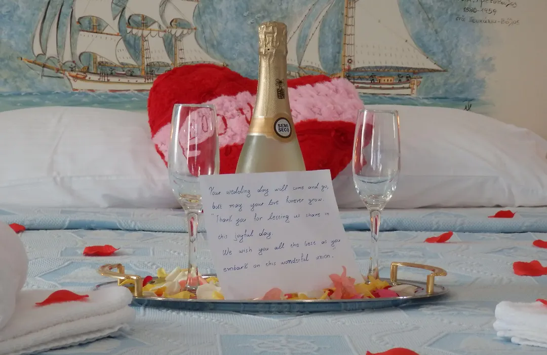 Flamingo Hotel Pelion-1