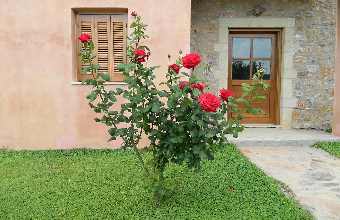 Liotrivi Historical Mansion And Boutique Hotel-1