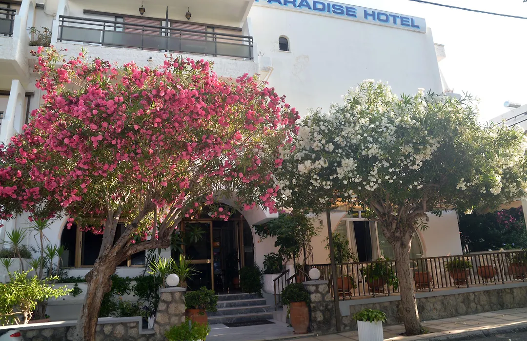 Paradise Hotel-1