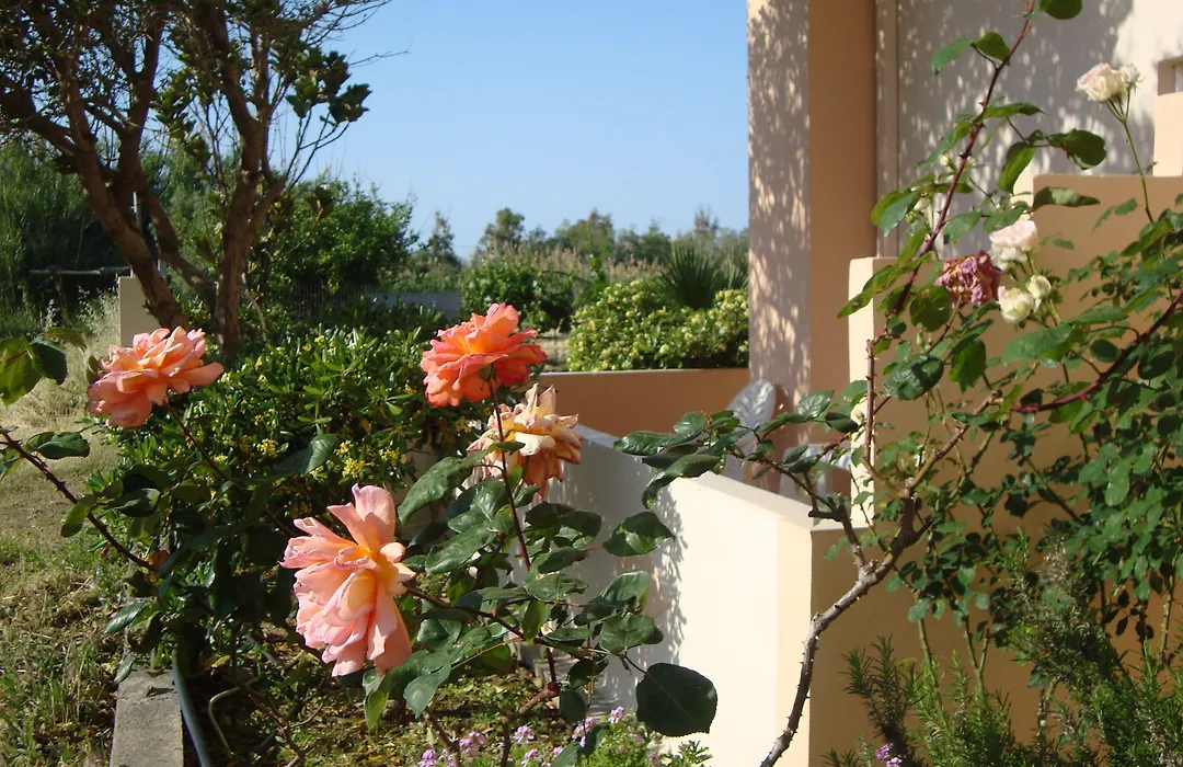Athina-1