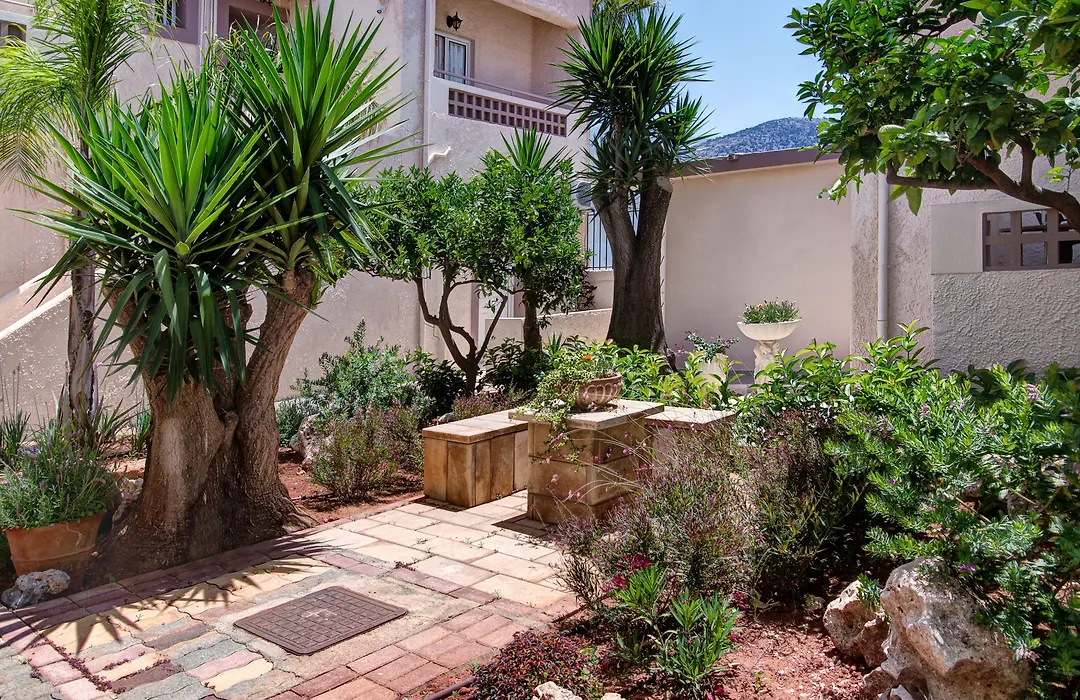 Le Palme-1